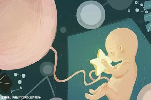 供卵包男孩正规代生公司